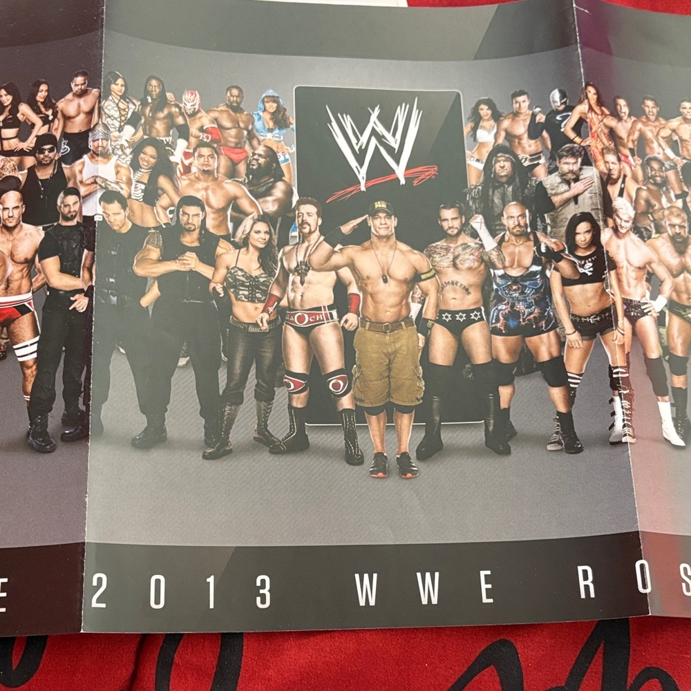 WWE 2013 Roster Poster with Multicolor Design Bella twins on back